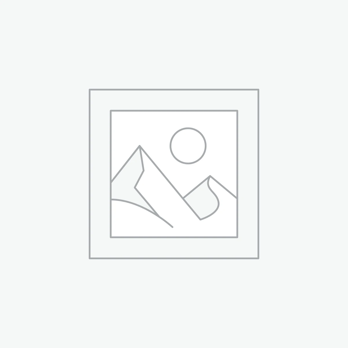 International Music Festival 2024